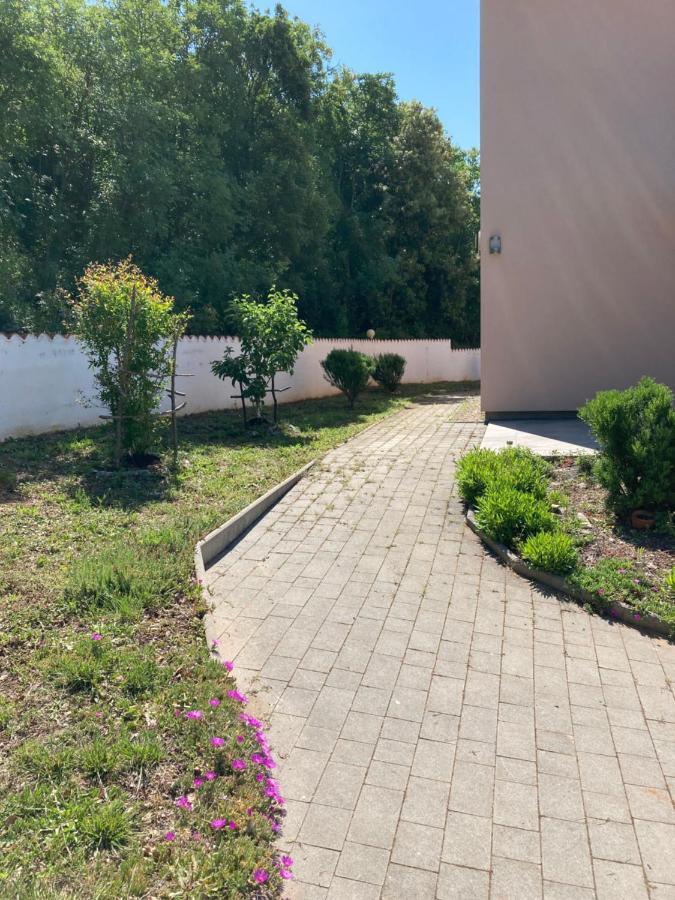 villa dijana Viskovići Esterno foto